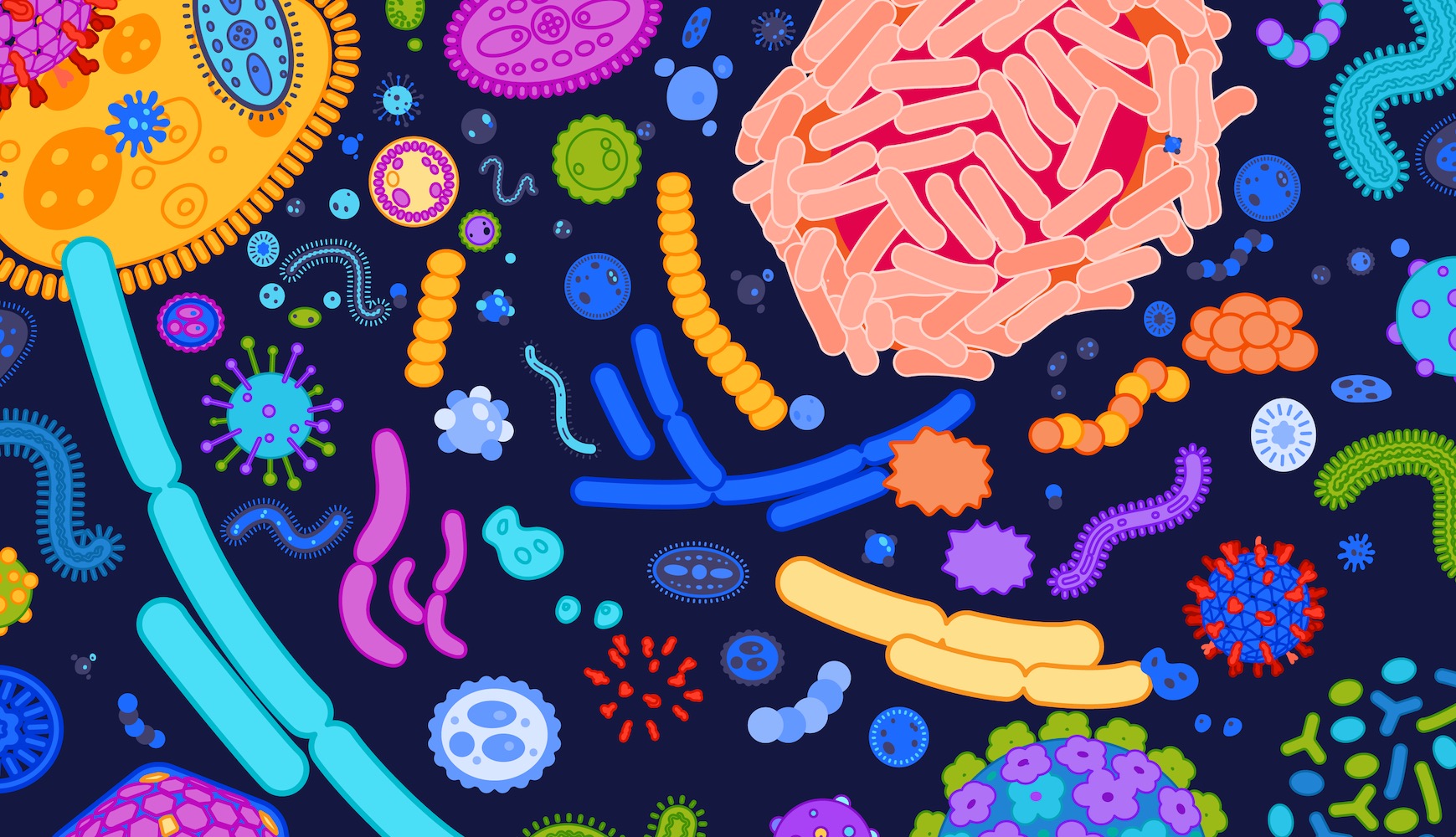 Clicca per accedere all'articolo Survey scientifica "Microbiota e salute infantile"